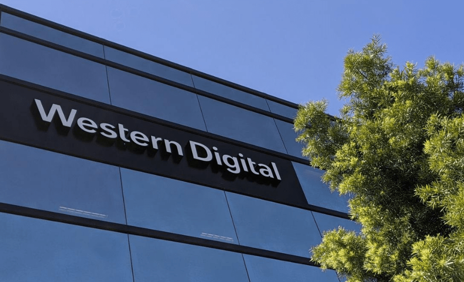 western digital chip