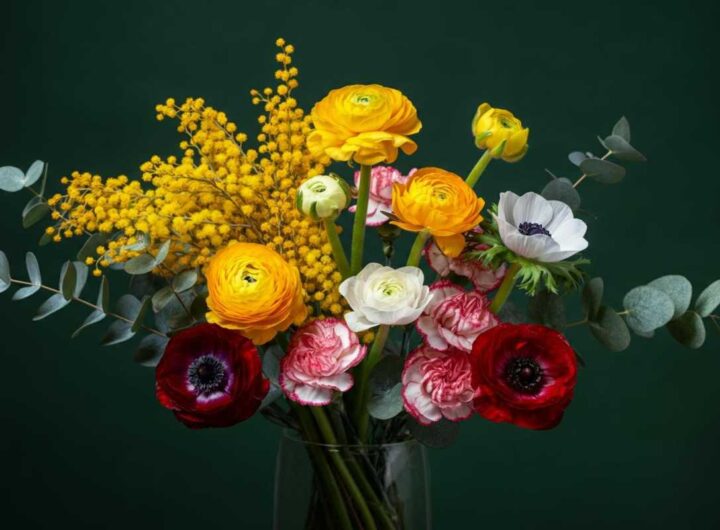 Sanremo: i florovivaisti svelano il segreto dei bouquet colorati senza fiori sul palco